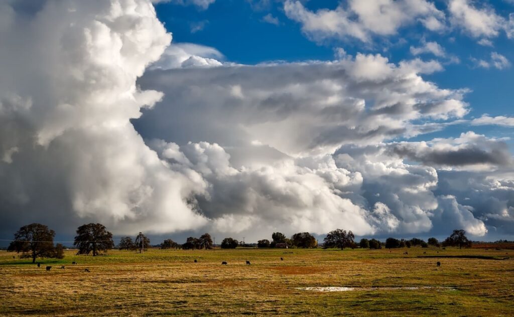 Lluvia en el campo.