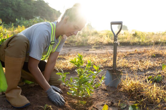 Trabajadora agropecuaria en acción.