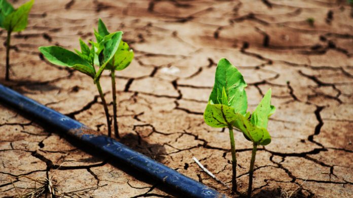 agricultores europeos