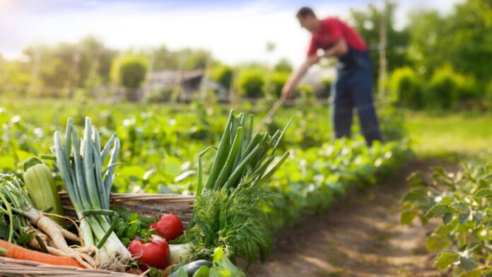 técnicas de agricultura